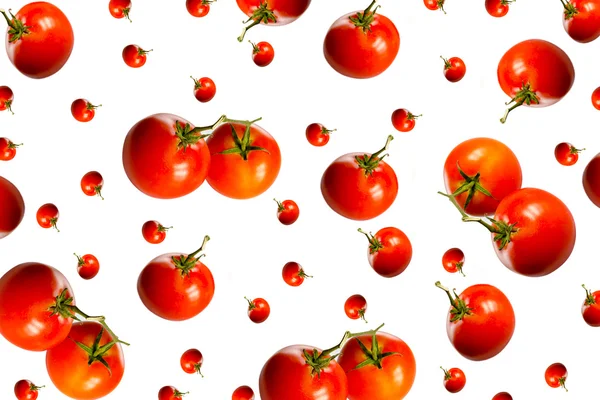 Grandes et petites tomates — Photo