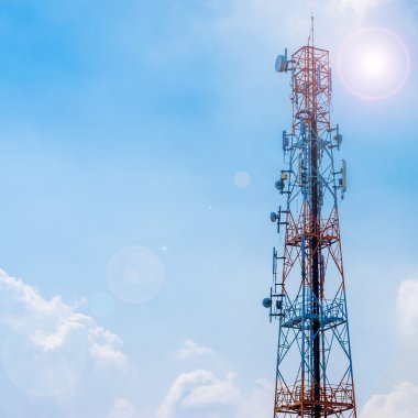 Annem kapta yemek yeme ve köpek yavrusu