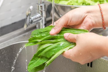 Taze sebze yıkama