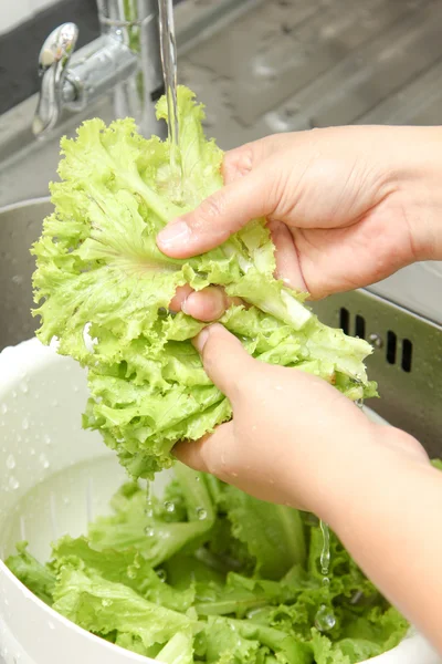 Washing fresh vegetable — Stock Photo, Image