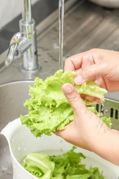 Tvätta ny grönsak — Stockfoto