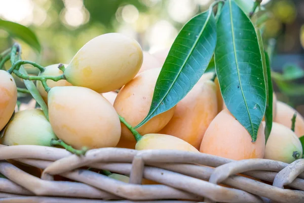 Thai fruit — Stockfoto