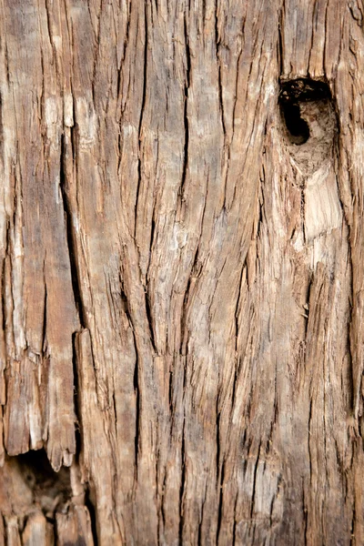 Textura de madera vieja —  Fotos de Stock