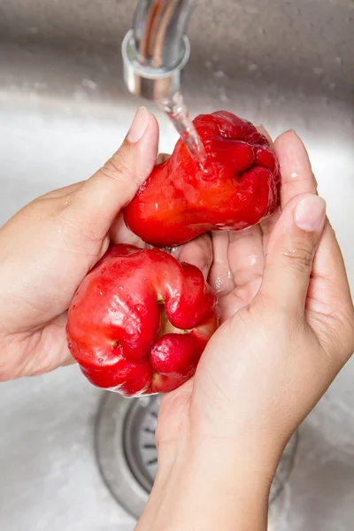 Fresh rose apple — Stock Photo, Image