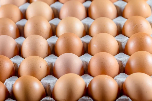 Fresh egg packaging — Stock Photo, Image