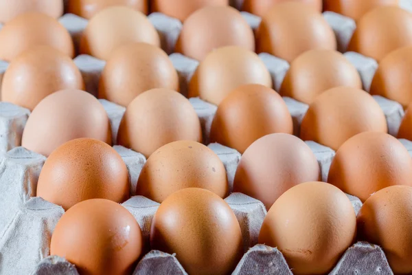 Fresh egg on packaging — Stock Photo, Image