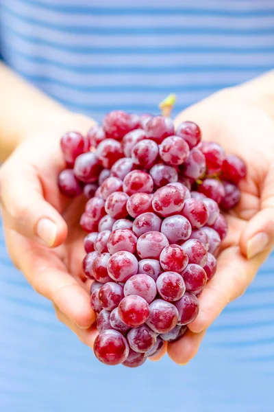 Uva roja fresca — Foto de Stock