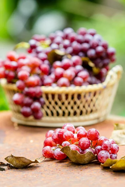 Röda druva frukter — Stockfoto