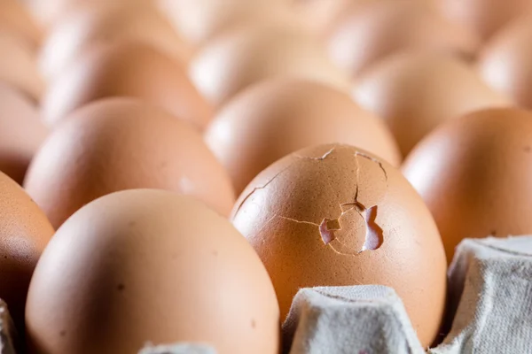 Fresh egg packaging — Stock Photo, Image