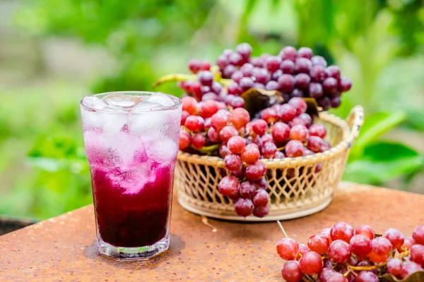 Nagerecht panna cotta — Stockfoto