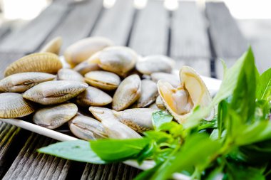 ham Surf deniz tarağı