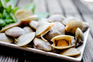 ham Surf deniz tarağı