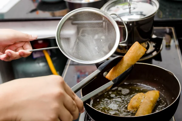 Rollos fritos de pollo —  Fotos de Stock