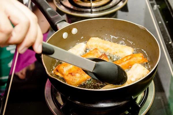 Fried  rolls chicken — Stock Photo, Image