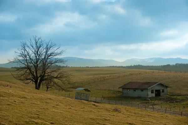 Cowshed em Rolling Hills — Fotografia de Stock