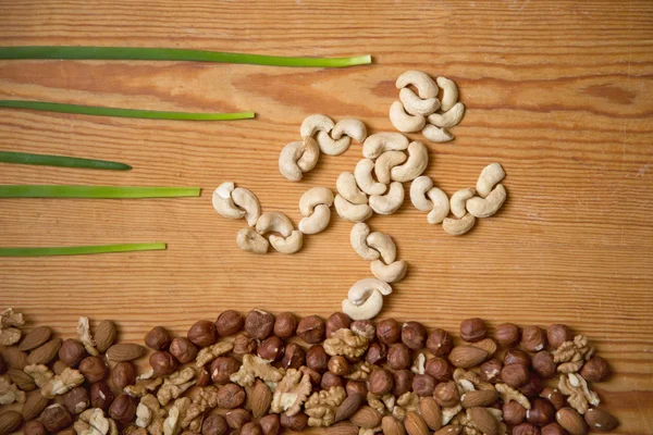 tasarımınız için fındık ile şekil