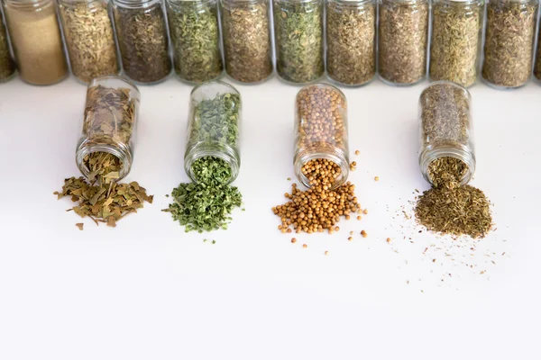 beyaz bitti izole baharatlar ile birçok kavanoz