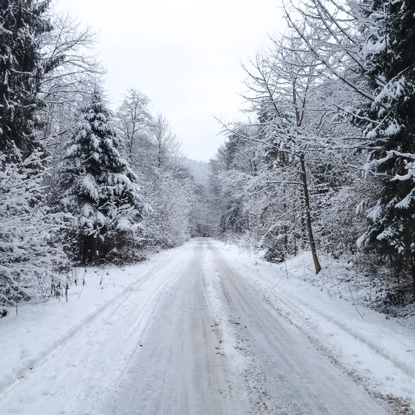 Paesaggio invernale — Foto Stock