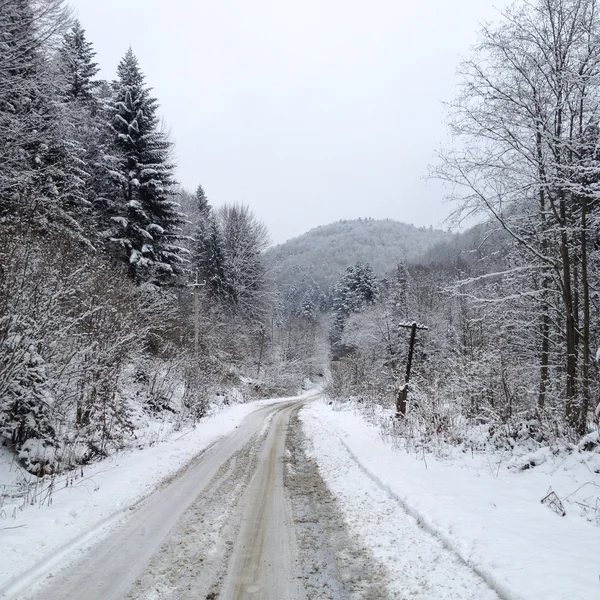 Winter landscape — Stock Photo, Image