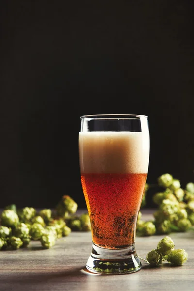 Pinte de bière au houblon — Photo