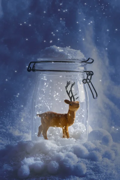 Renar snowglobe — Stockfoto