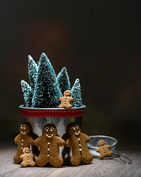 Lebkuchen zu Weihnachten — Stockfoto