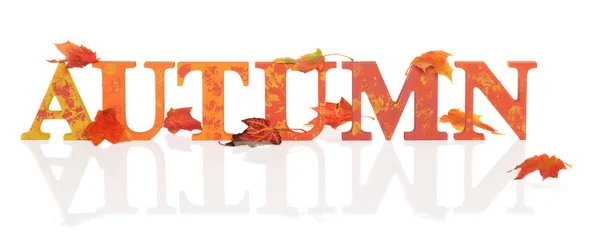 Herbstbriefe mit Blättern — Stockfoto