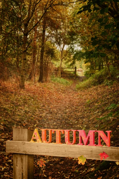 Country Lane In Autumn — Stock Photo, Image