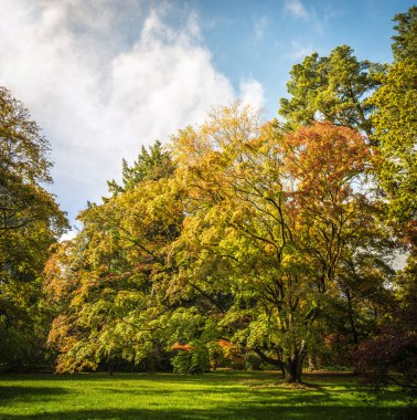 Westonbirt Botanik Bahçesi
