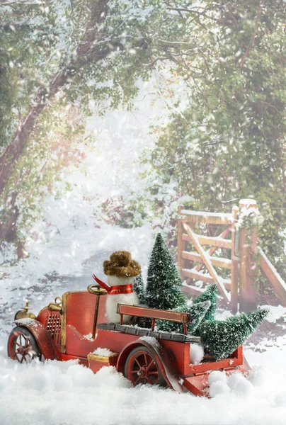 Camion che trasporta alberi di Natale — Foto Stock