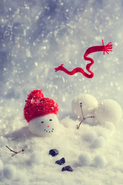 Winter Snowman — Stock Photo, Image