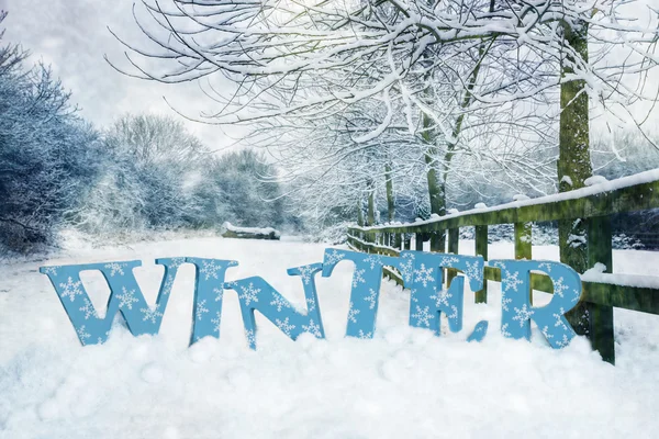 Cena de inverno — Fotografia de Stock