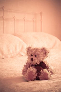 küçük bir oyuncak ayı