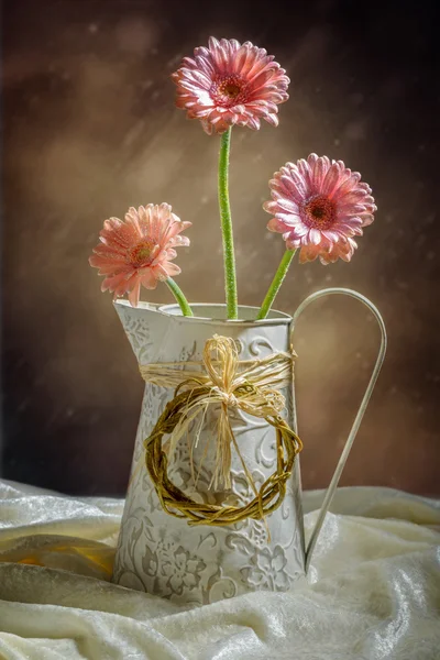 Gerbera'nın vazo — Stok fotoğraf