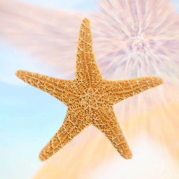 Suiker starfish — Stockfoto