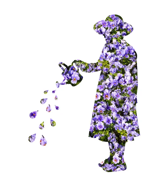 Полив цветов — стоковое фото