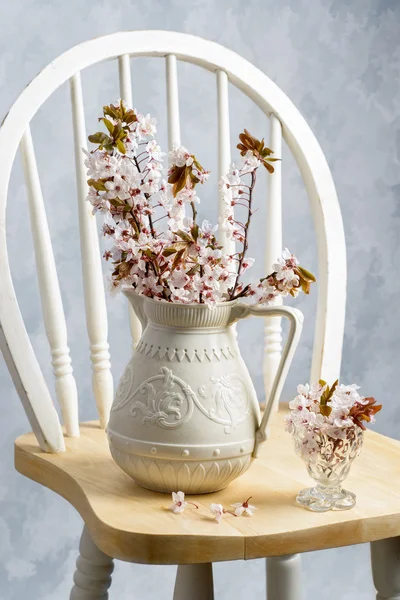 Jug Of Spring Blossom — Stock Photo, Image