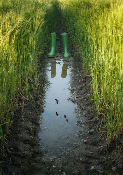 Wellies With Reflection — Stock Photo, Image