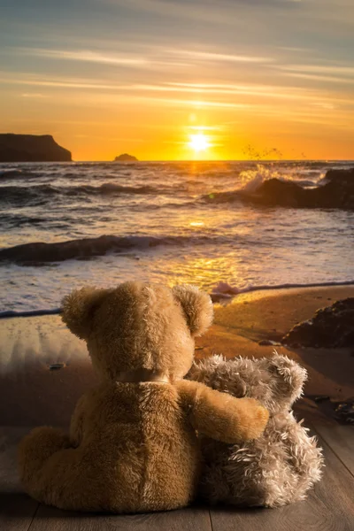看日落的泰迪熊 — 图库照片