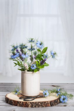 kır çiçekleri pot