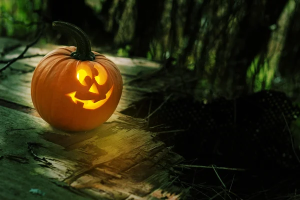 Calabaza brillante — Foto de Stock