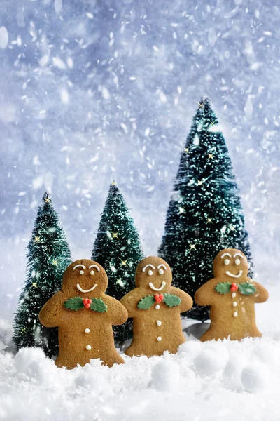 Lebkuchen zu Weihnachten — Stockfoto