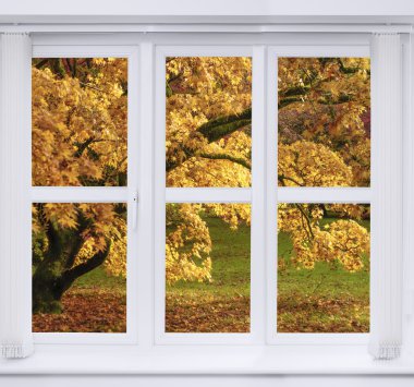 Autumn Window With Trees clipart