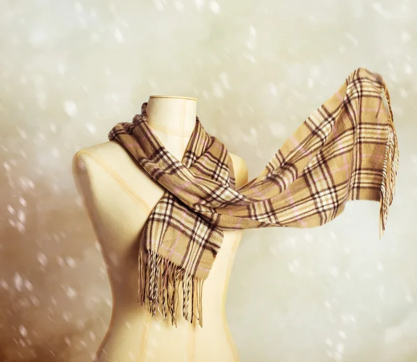 Winter Scarf With Vintage Dress Form — Stock Photo, Image