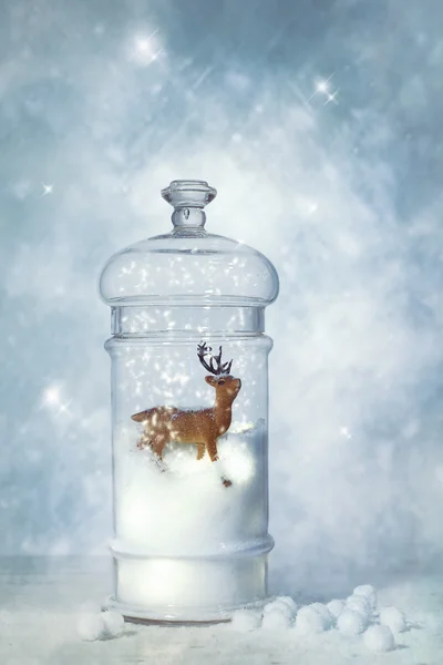 Winter Snow Globe — Stock Photo, Image