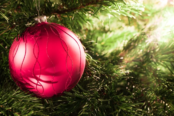 Kerstbal op een kerstboom — Stockfoto