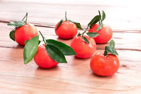 Fresh tangerines with green stems and leaves — Stock Photo, Image