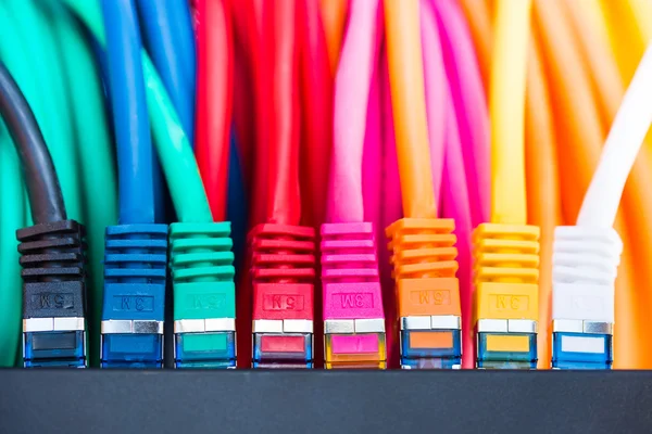 Мережеві кабелі, підключені до комутатора — стокове фото