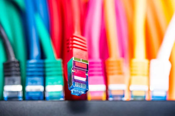 Cabos de rede conectados a um interruptor — Fotografia de Stock