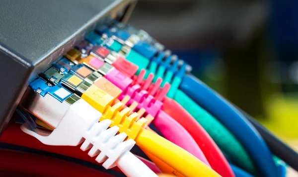 Network cables connected to a switch Royalty Free Stock Photos